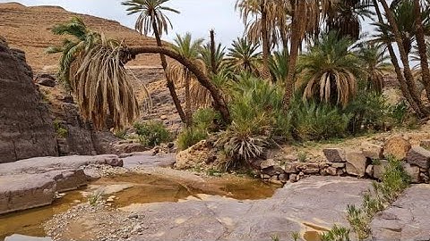 سورة العلق القارئ بن عيسى عبد الهادي