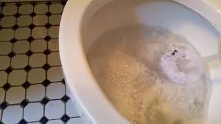 Toilet Rust vs Lysol Toilet Bowl Cleaner - Who will win?