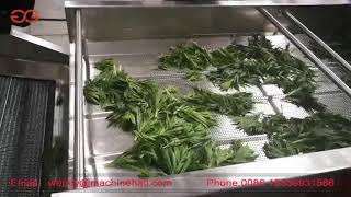 Industrial Herb Washing And Air Drying Machine