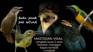 MASTERAN VIRAL AUDIO JERNIH JEDA NATURAL