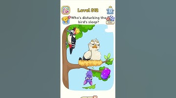 DOP 5 level 312  | Who