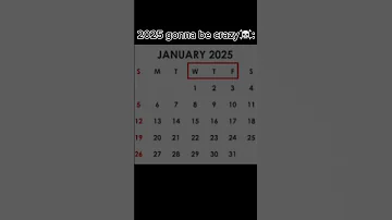 WTF Meme 2025 Calendar Word 