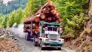 Woodworking giants are extremely dangerous!!! Huge wood cutting skills!