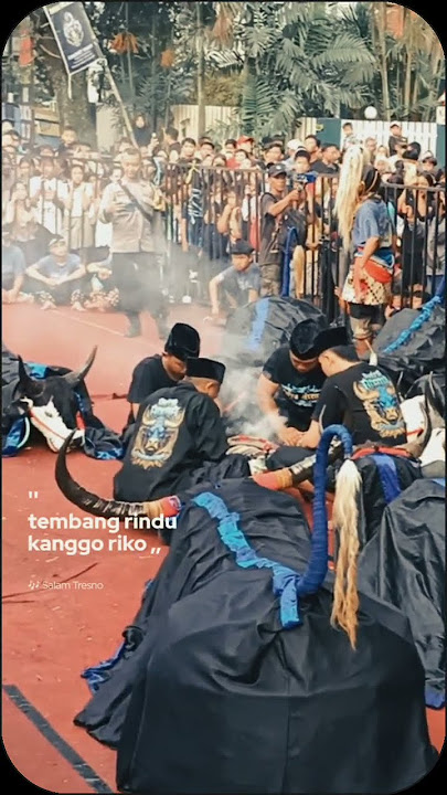 PUTRA AREMA ‼️#kalapan #mberot #kesenian #bantengan #bantenganmalang #banteng #fyp #fypshort