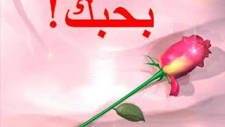 تامر حسنى حضن الغريب من اروع ما غنى