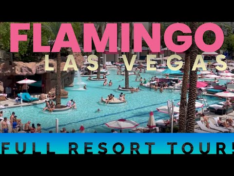flamingo las vegas pool map