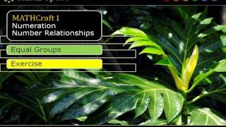 MC13-5b Equal Groups - Exercises