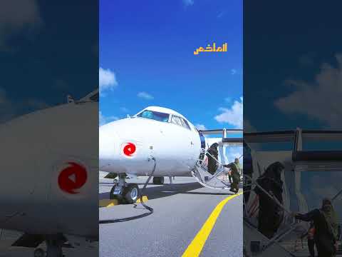 شركة طيران تتورط مع فنانين في عرض فيلم غير أخلاقي بطائرة هل تعمدت