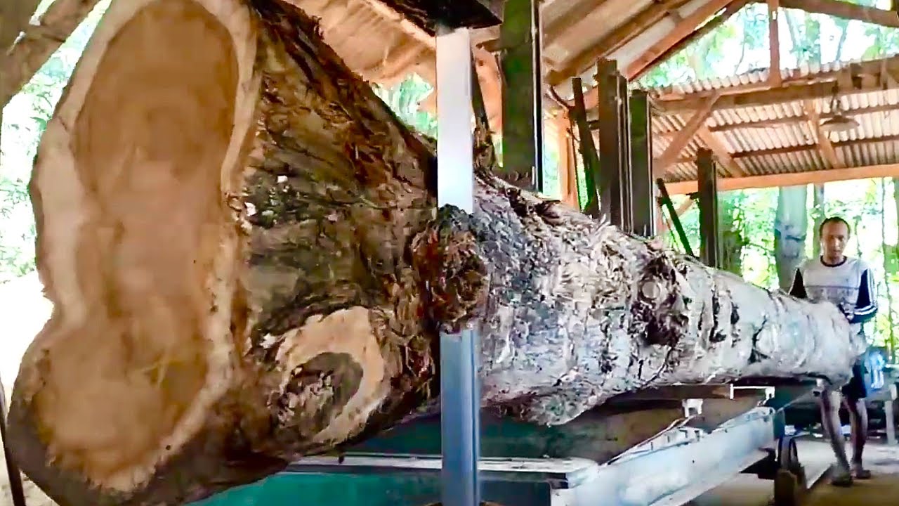 🌲Amazing Appearance of 1000cm Long Teak Wood at the Sawmill🌲 - YouTube