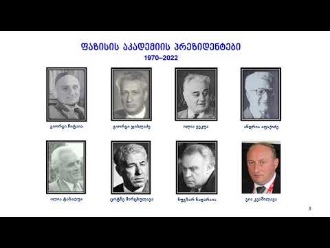 ფაზისის აკადემიის საქმიანობის სფერო