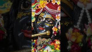 श्याम सुंदर भजन #trendingshorts #devotionalbhajan #explore #radheshyam #harekrishna #shorts
