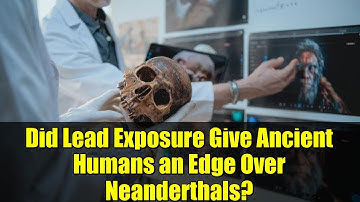 Did Lead Exposure Give Ancient Humans an Edge Over Neanderthals? | Science Explained