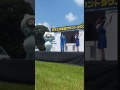 たぬきゅん