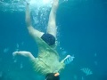 Hurghada, Egypt - snorkeling and feeding fish near the Utopia Island