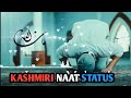new kashmiri heart touching naat status _ New kashmiri naat whatsapp status _ kashmiri naat status