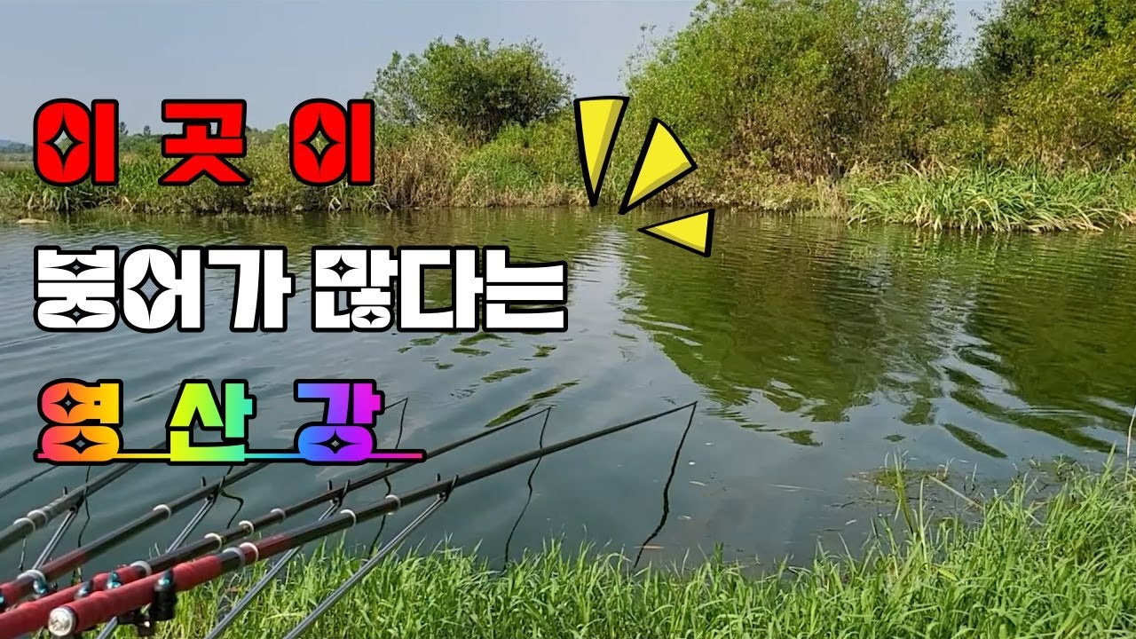 붕어가 쏟아진다는 영산강 // 단숨에 방향 돌려 // 찾아왔습니다. // 자리까지 옮기는 강행군 // 그 끝에는 붕어 손맛 // 