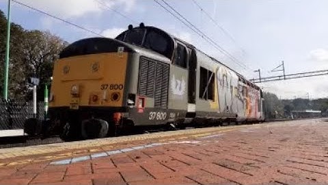 Thrash and Clag Compilation 2021