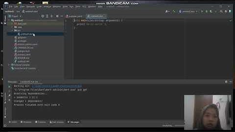 Belajar dasar pemrograman dart