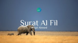 Surat Al Fil - Ridjal Ahmed