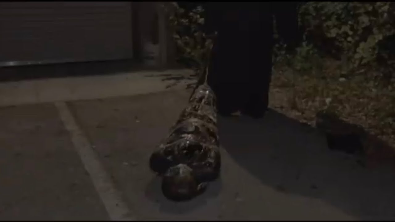 Big Turk “Apply Da Pressure” feat DirtyGame813 prod by Trac Tbeatz Video Shot and Edited by RGFILMS