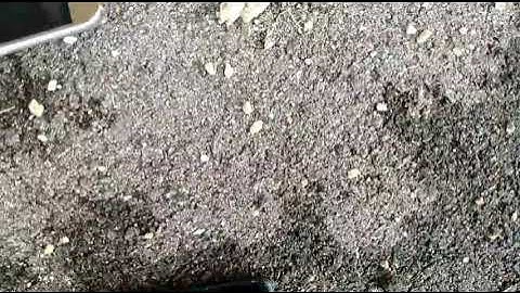 Alcatel Jitterbug Smart 3 Drop Test