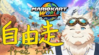 星雪将吾の自由走（フリーラン）①　＃マリオカートワールド