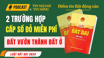 2 trường hợp cấp Sổ Đỏ Miễn Phí | Điều 141 - Luật đất đai năm 2024