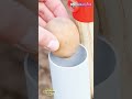 Attach a Plastic Tube to a Shovel? Brilliant Potato Planting Trick That Saves Time!