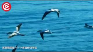 中国面积最大的省你绝对猜不到，不是新疆