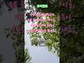 살펴본 종목중 급등한 급등주 250507 #주식힌트 #급등주 #상한가
