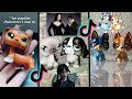 Tik tok lps compilation