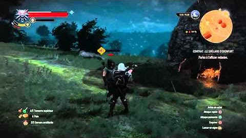 Yeah, that just happenned : The Witcher 3 Bug 1.10 (FIXED)