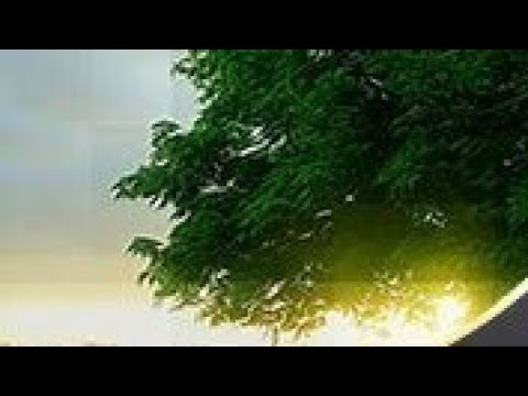 رددها ولا تقف فيها قسم عظيم من رب العالمين