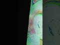 Virtual Flowers! Unreal Experience