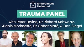 "What is Trauma?" panel - Gabor Mate, Richard Schwartz, Peter Levine, Dan Siegel, Alanis Morissette
