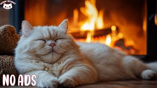 Sleep Music for Cats π± Dreamy Piano and Fireplace for a Calm Cat Nap - Music for Cats