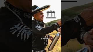 Por qué Jalisco es tan especial?#brunobarba #tequila #agave #jalisco #méxico