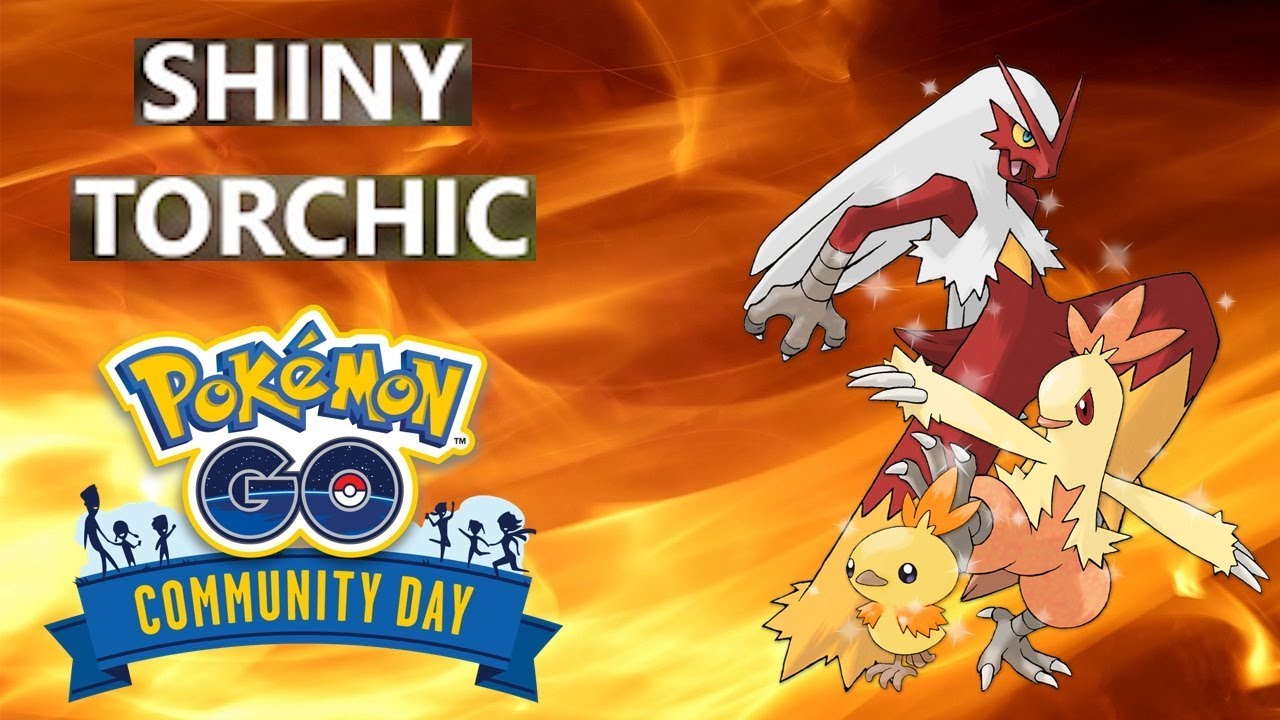 SHINY TORCHIC EVOLUTIONS POKEMON GO YouTube