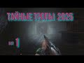 Тайные тропы 2025  № 1  Корень Мандрагоры