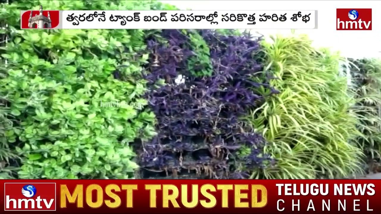 సరికొత్త హరిత శోభను సంతరించుకోనున్న ట్యాంక్ బండ్ | Tank Bund | Hyderabad | hmtv