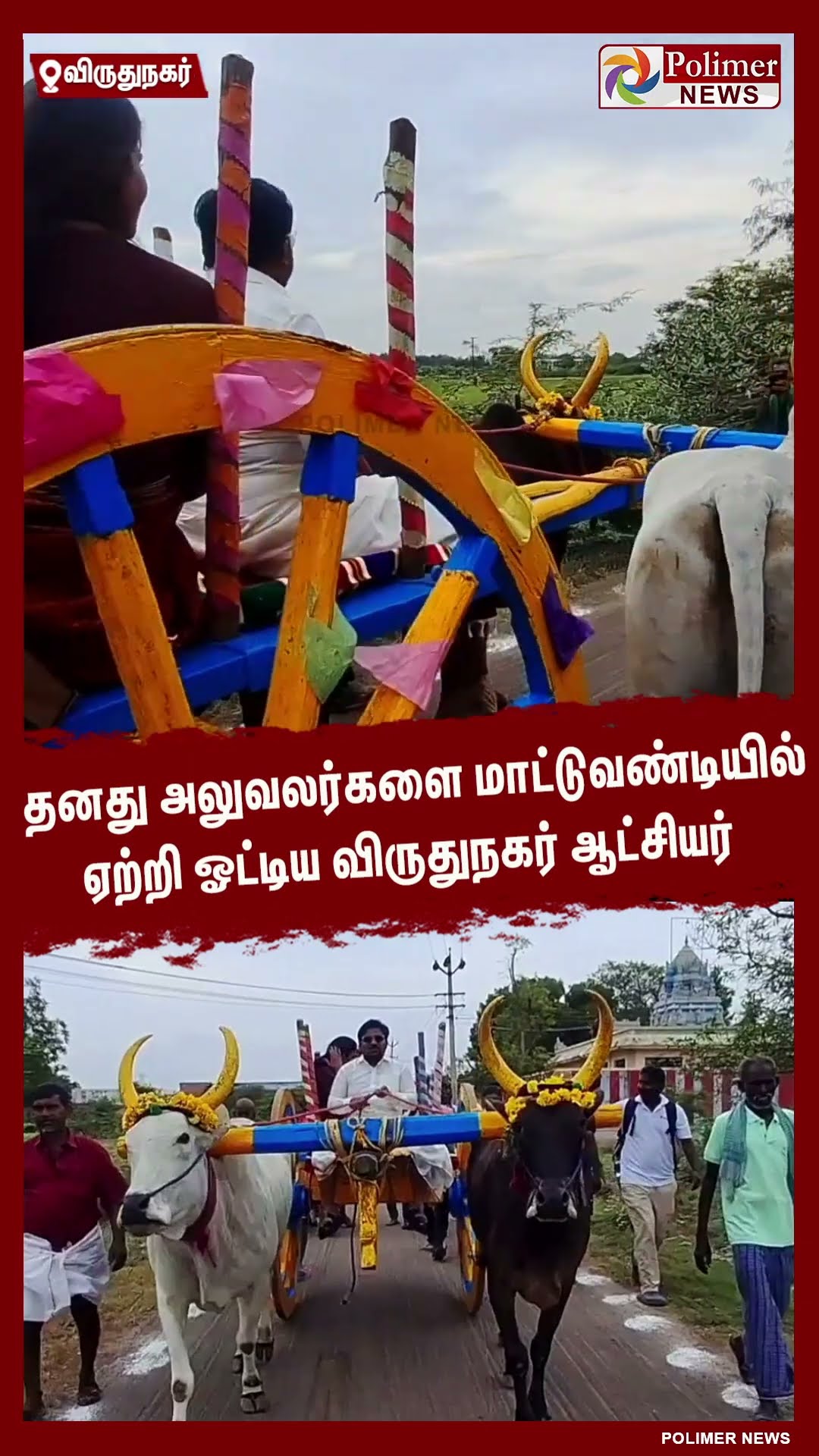 பொங்கல் கொண்டாட்டம்..அலுவலர்களை மாட்டுவண்டியில் ஏற்றி ஓட்டிய விருதுநகர் ஆட்சியர்..#shorts