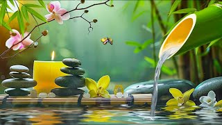 Bamboo Water Relaxing Music 24/7🌿Good Piano Music, Stress Relief Music, Sleep Music, Water Sound by Soul Silence 105 views 8 days ago 1 hour, 17 minutes