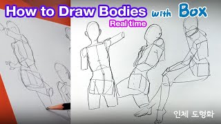 How to draw bodies with boxes ( Simplify Anatomy)