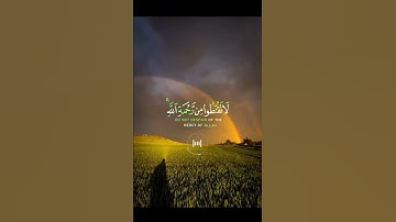 📖سورة الزمر 🎙️مشاري العفاسي