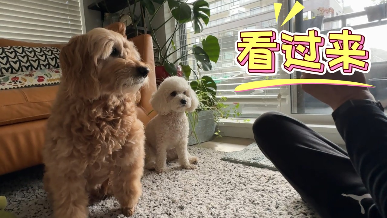 姐两儿 好相处 动作很一致