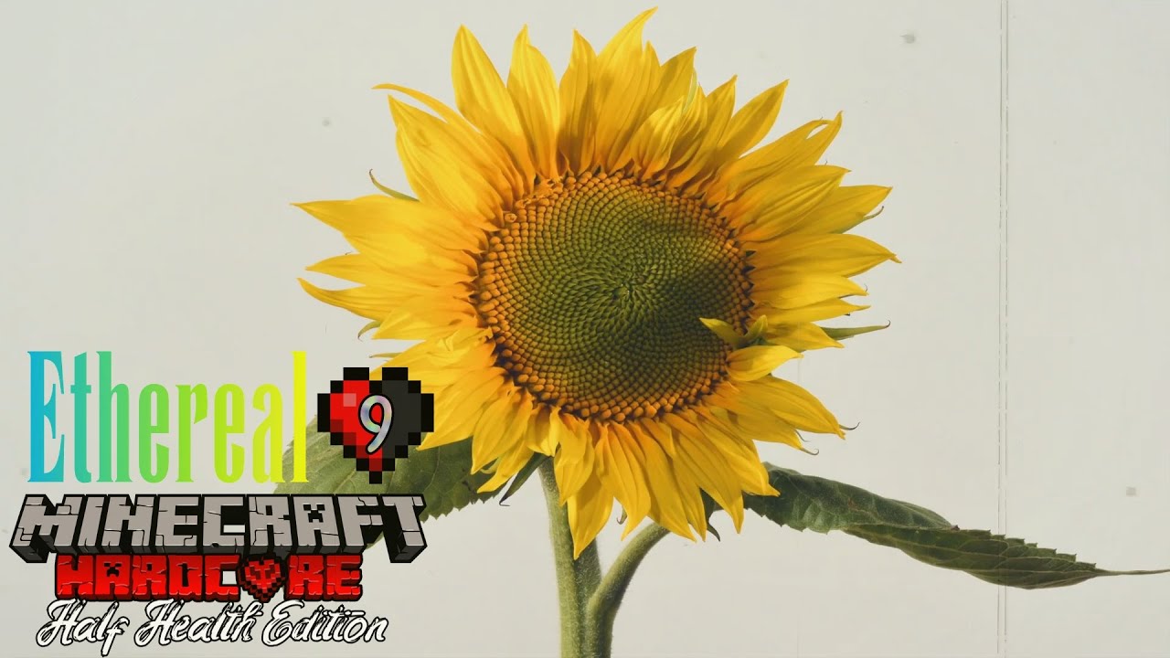 Ethereal Minecraft HC #9: Half Health Edition - Official Trailer/Intro!