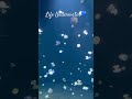 Vancouver Aquarium #acquarium #love #world #india #canada 🇨🇦