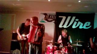 Video thumbnail of "Yölintu- Tv:n kokoinen haitari  (live)"