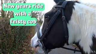 New Years Day Hack with a Feisty Cob / Go Pro Ride with Me