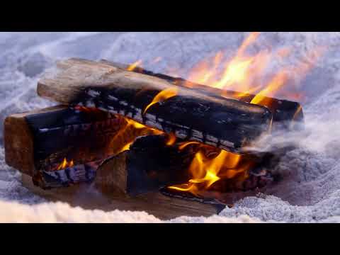 Colin Lynch  - Beach Fire Embers (Lyric Visualizer)
